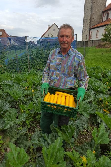 Zucchini von den Müllers