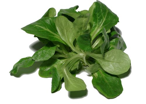 Rezept des Monats Januar 2020