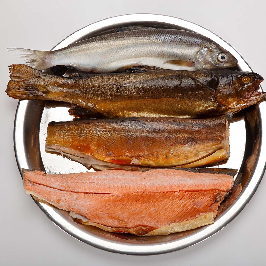 fisch Die Kisten