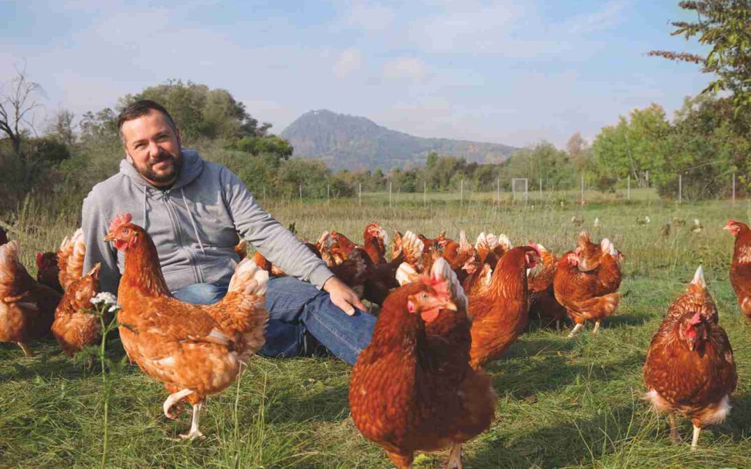 Huhn und Hahn Initiative